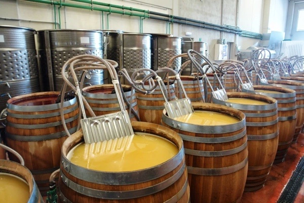 imagen Bebidas Fermentadas